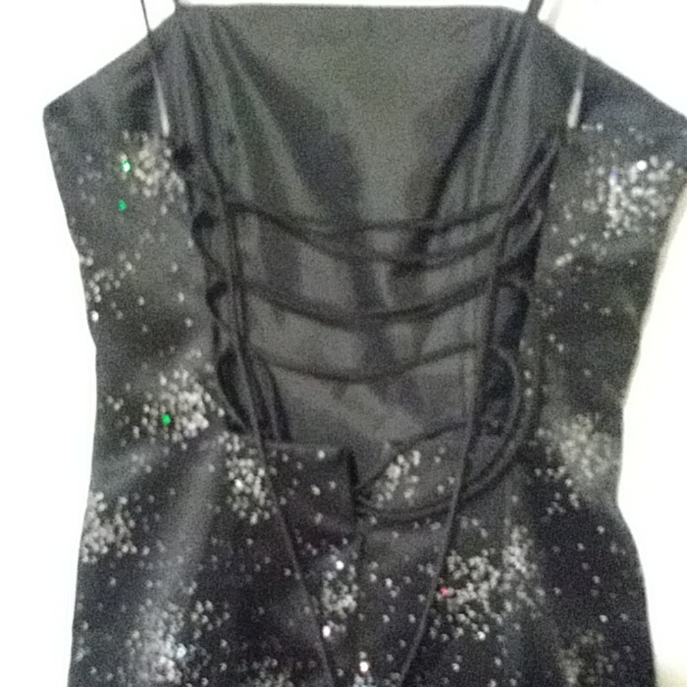 Evening gown/Prom dress